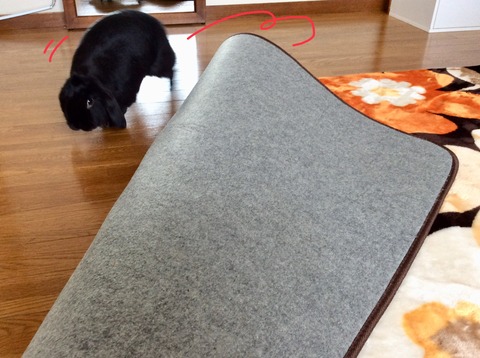 216CA370-B505-4079-9386-FA83287AC111