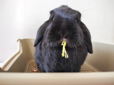 5305A75E-1373-42AF-B912-8572A843AAC1