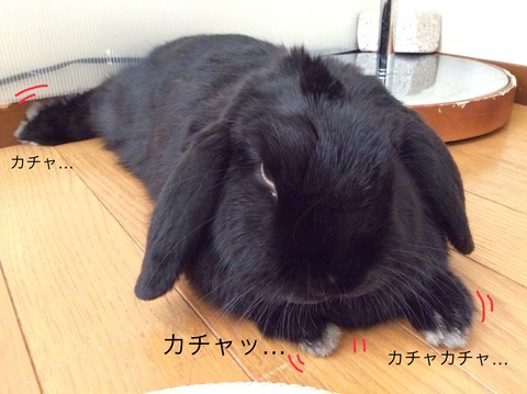 BB5228DB-2CA0-4D8C-A40D-8D0A1B5B08C0