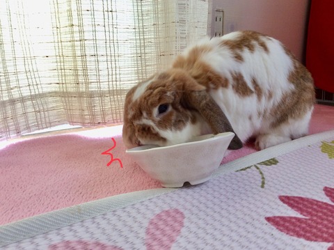 E2F61012-5226-400A-AE31-36C4E1C4F7E9