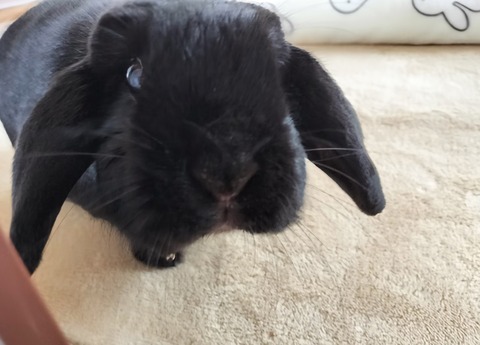 3304BA9E-44CD-4EDE-834B-893A6A28B61F