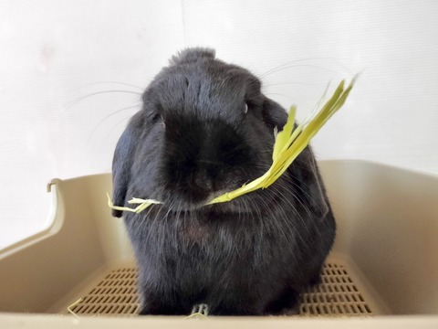 57718B37-915D-4930-90FE-A0F3D8A26BBC