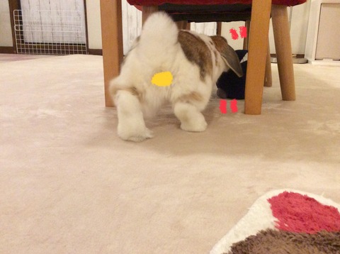 FA959B68-68A4-4ACA-9936-E0260972B51C