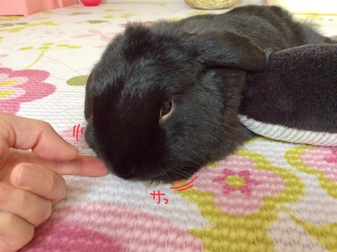 4528D006-C5E2-4B82-B252-F479DE4295AC