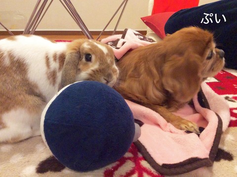 D7B99BB8-54CC-49E1-9F90-1BABE68EFCCB