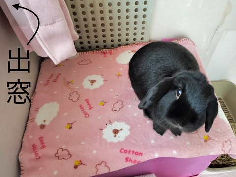 D6F35435-E07B-41F8-8BEB-5D2C02AFCFCA