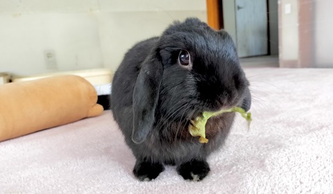 B1C8112B-7A06-4CE6-9841-83D9EE725EC2