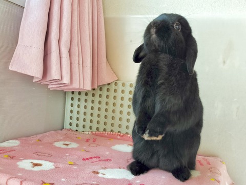 72B9B0DA-ADCF-47D6-86CB-B67934EEAE15