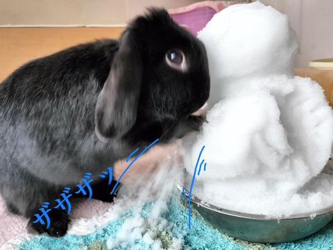 69AFB66D-1C6A-4411-BFD5-67E538106DF3