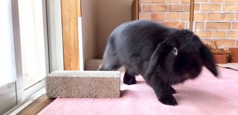 B4308E12-B37F-4A8F-9BFC-020EC94AF8B7