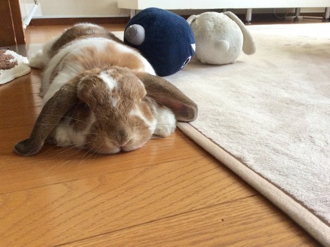 00C003F0-4EB1-421B-AE7C-89099B614A4A