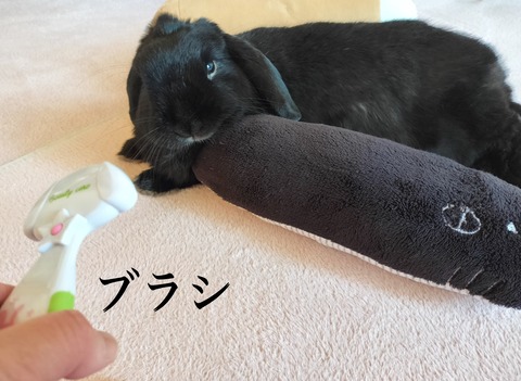 8C78ECD5-8DD5-4B23-9527-D357CC4B8B19