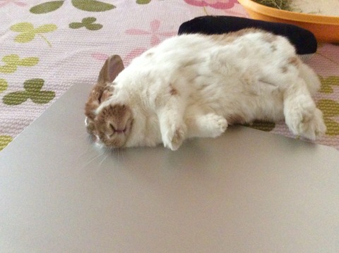 337804A2-1111-492B-BE72-A0ECAEB0666F