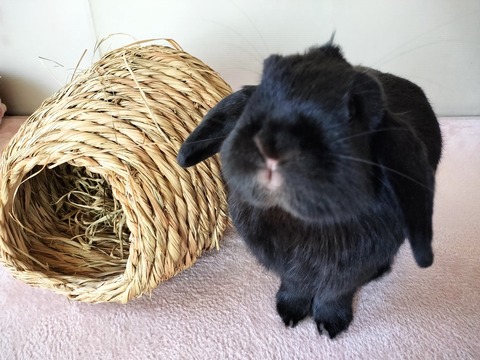 E0F732AE-B2EB-4E5F-9F5B-0E20C51BF620