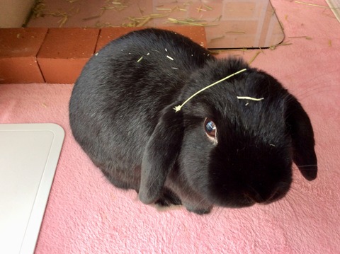 8D3DD2BA-3B99-4FC7-8D7E-030EA2DC7DD2