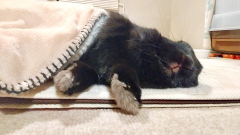 3FFCFEFE-5777-4C32-83ED-9A4B21CA3169