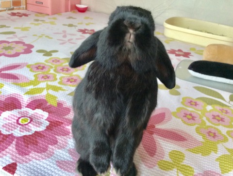 B25041E2-E719-4B13-8782-08A4B772A3A6