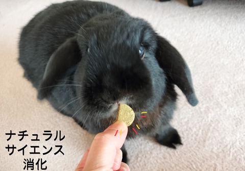 6ED4F925-5C55-45B9-8954-97044B78F4E2