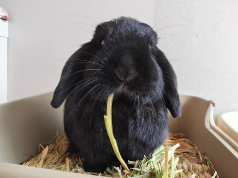 99904578-B845-4EBC-959F-44795DAEF3D5