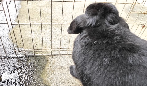 F498EFAE-4727-4E9F-B599-BFCD36988A8E