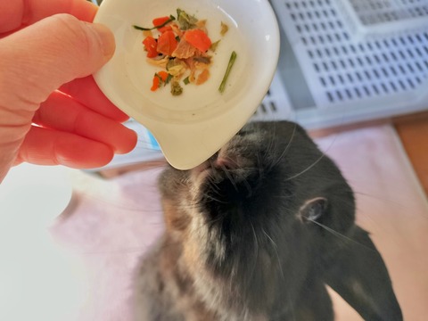 DD75F334-EA92-4D4E-B9EB-AD3DD8432115