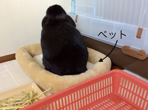 6B8094E2-0D47-456D-BB5E-D8C019AF5E45