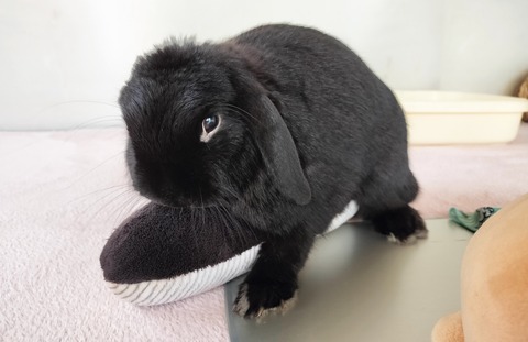 FE07FEF6-8084-4204-AB37-3B44D74DA1EB