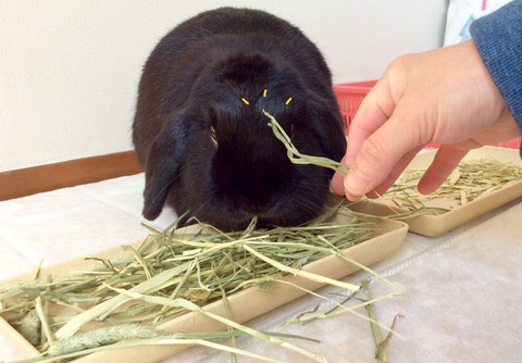 B1E83E73-89C5-4EFA-9F48-7D8FF83E6476