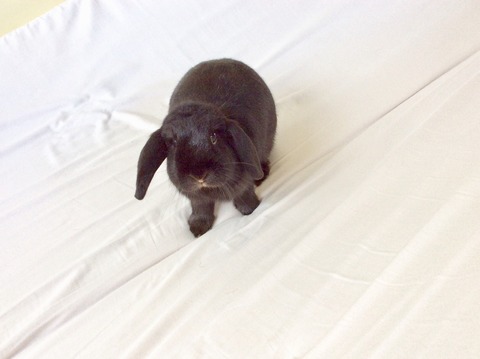 EF58086C-AE51-4C70-A425-8DDBC9D370EC