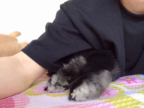 645D0287-580F-406C-844F-D47EF9DD534D