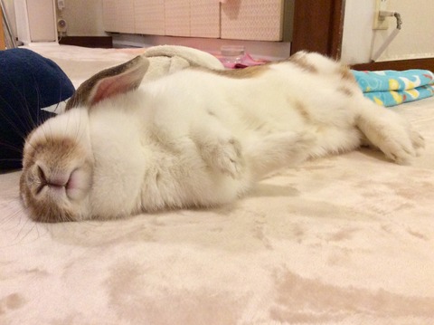 2B9B98F0-900E-41C5-9B7A-33CB8FF05454