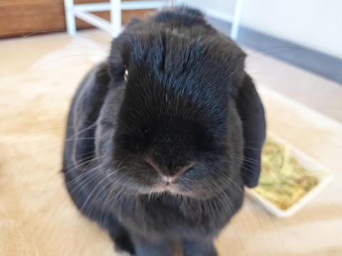 2D3A57A5-A649-4128-9552-A64EB11DDC1C