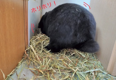 60D75C3B-C846-4F84-82FC-B0CEBB195C9D