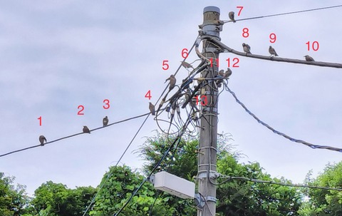 E59E0369-A418-4B2E-8D68-34440946015C