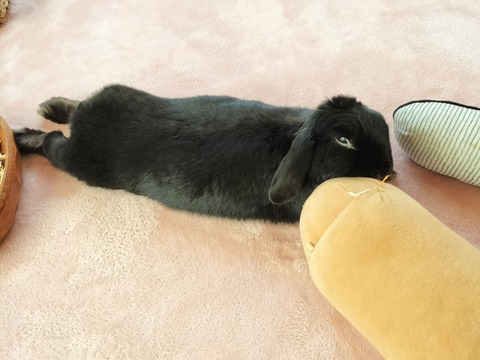 375E136E-A867-4465-8A9E-D142967DE0E2