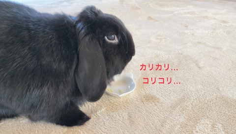 B179C25C-3274-434F-937A-0894AD027208