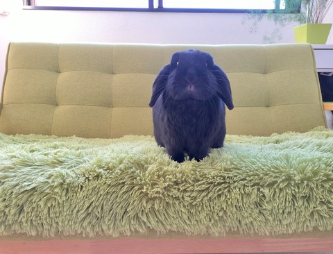 5DFBFA85-918D-41CC-8C98-0843E26E3114