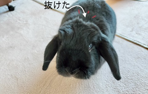 B1354CEA-428B-42EA-A5DC-E1A89E961C2C