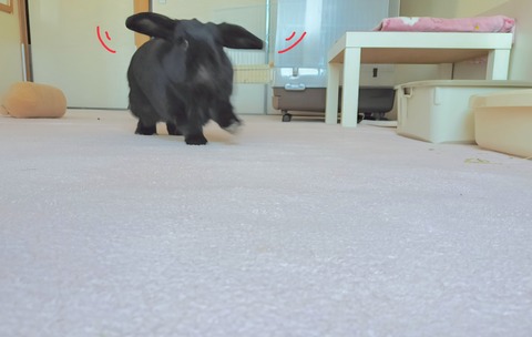 C6B0C5A8-247A-4EF1-928B-9B5EBD79EAE7