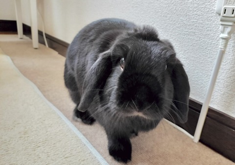 10714C20-0C2F-4F85-B6E3-EEB834338564