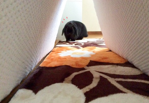 29318B51-1CF4-4F86-B068-394671FAE44A