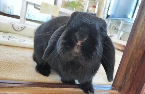 37189B4C-1476-4379-AF25-EC5D3D231D3D