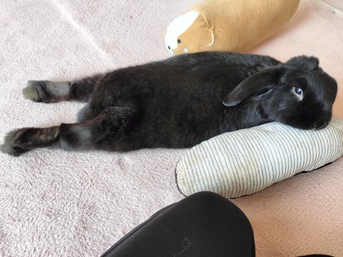 93970B07-21AF-42A0-881A-E15C5174A129