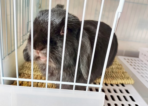 49D277F0-4204-460C-A5CD-483D8EA6D850