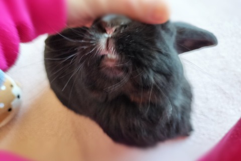 D6DBAE90-4893-4875-8001-F65F9F3D8E46