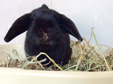 72D69766-85FF-4142-86DF-D73FDAC023D1