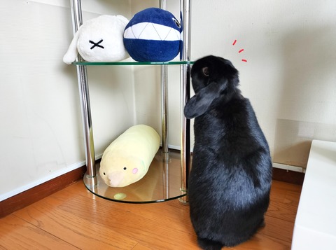 C0557715-8843-4834-B56B-E54EBB16AD4F