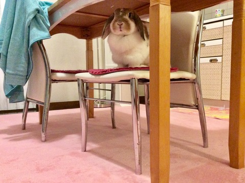 BB5F4463-5BEE-4F53-A71F-E7D17303D085