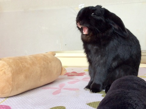 0591714A-11F6-48DC-8565-F2E36324746F