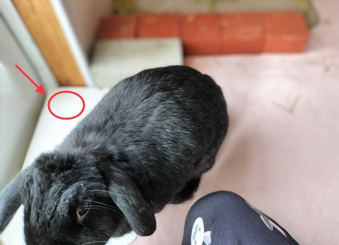 FBD5C119-DCDD-44B6-A655-A754ABD38631